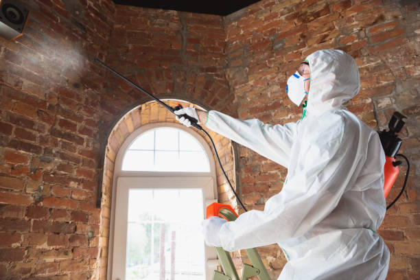 Best Mold Remediation for Healthcare Facilities in Lemont Furnace, PA